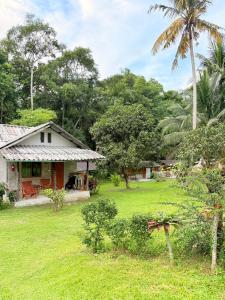 una pequeña casa en un campo con un patio en Eve house koh kood, en Ko Kood 52 fotos más