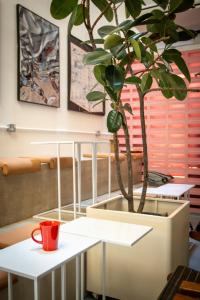 a plant sitting on a table next to a white table at The Brownstone Hostel & Space in Ipoh +66 photos