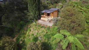 an overhead view of a cabin in the middle of a forest at Fantail Point - secluded cabin with stunning views and outdoor bath in Upper Papamoa +12 photos