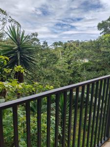 a balcony with a view of the jungle at Cheni's in Quesada