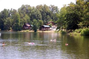 um grupo de pessoas nadando em um lago em Forest Lake Camping Resort Lakefront Cabin 2 em Freewood Acres