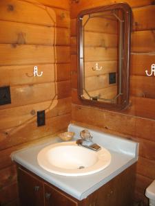 a bathroom with a sink and a mirror at Forest Lake Camping Resort Lakefront Cabin 2 in Freewood Acres