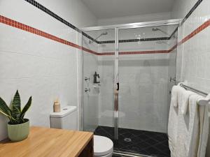 a bathroom with a shower and a toilet at Lake Kami Retreat - Jindabyne in Jindabyne +6 photos