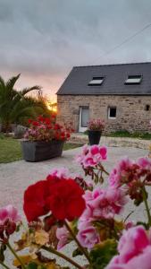 a group of flowers in front of a house at gite à la ferme in Ploubezre
