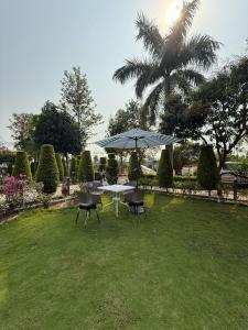 A garden outside Nature's Nest Resort