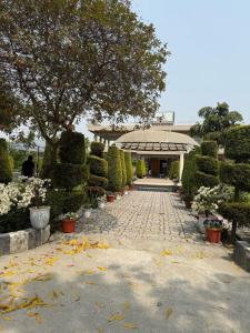 A garden outside Nature's Nest Resort