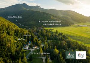 a view of a valley with trees and a mountain at Apartmany Vila Vista in Demanovska Dolina