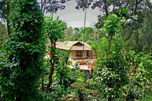 Taman di luar New Garden View +12 gambar