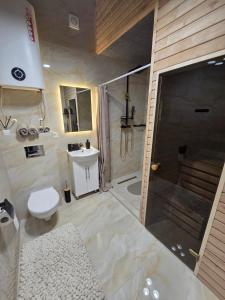 Un baño con inodoro, ducha y lavabo. en Vinetas Apartments Nr3 The One, en Cēsis