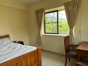 Giường trong phòng chung tại green home