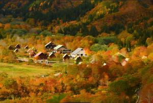 a village in the fall with trees changing colors at 47 - Snow Village Cozy Lodge Yuzawa in Yuzawa