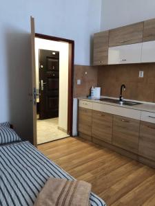 Kuchyň nebo kuchyňský kout v ubytování Apartmány Pražská