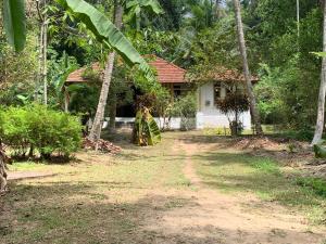 Vườn quanh ලෝ LAW Leisure & Wellness Homestay Hostel