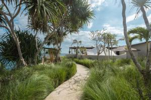 un sentiero attraverso l'erba con le palme di Naluna Lembongan a Nusa Lembongan