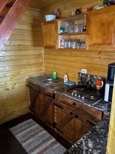 Cabaña con cocina con fregadero y fogones. en Szakács Vendégház, en Borzont