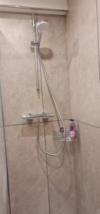 a shower with a shower head in a bathroom at 2 Room Flat near Uni Campus Siegen - BR in Siegen