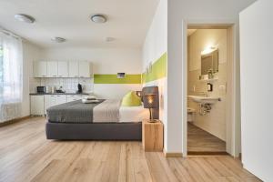 Η κουζίνα ή μικρή κουζίνα στο Breisach City-Appartements
