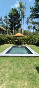 チャロクルムにあるSuan Residence - Exotic and Contemporary Bungalows with Private Poolの傘を貸した芝生のスイミングプール
