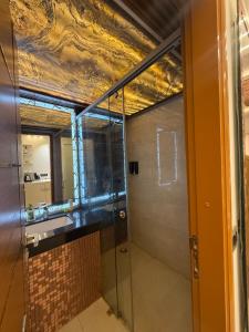 Un baño con ducha de cristal y lavabo. en Omaxe Hazratganj Studios, en Lucknow