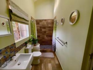 a bathroom with a toilet and a sink and a shower at Bella Rosa Cottage in Clarens