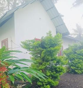 a house with a tree in front of it at Munnar Hills And Mist Views in Anachal