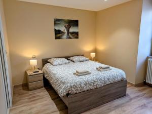 a bedroom with a bed with two lamps and a painting at Gîte des Siècles - Maison du XIVe siècle avec Ascenseur et Cinéma in Saint-Gengoux-le-National +67 photos