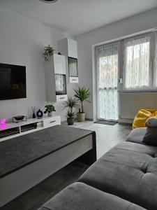 Una sala de estar con un sofá y un televisor de pantalla plana. en Cool Appartment, en Oradea