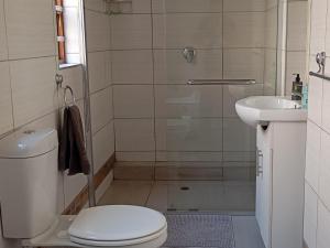 une salle de bains avec toilettes et lavabo dans l'établissement Sunset Cottage - Own Water - Own Electricity, à Pretoria 5 autres photos