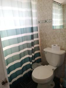 a bathroom with a toilet and a shower curtain at El Quisco cabaña con estacionamiento sector tranquilo in El Quisco