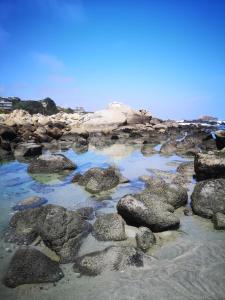 a group of rocks in the water on a beach at El Quisco cabaña con estacionamiento sector tranquilo in El Quisco