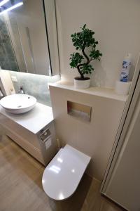 a bathroom with a toilet and a sink with a plant at Vilnius Old Town in Vilnius