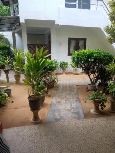 Zahrada ubytování Ocean Moon Mirissa