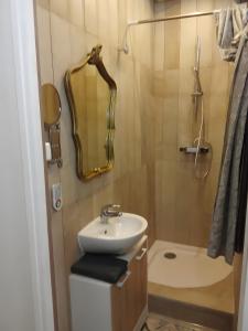 a bathroom with a sink and a shower with a mirror at Le Royal in Bayeux