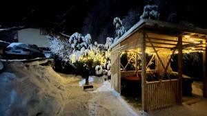 Casa Stana om vinteren