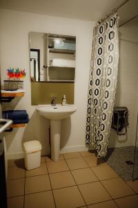 a bathroom with a sink and a mirror at La Fournière de Jean - La Téouleyre in Saint-Julien-en-Born