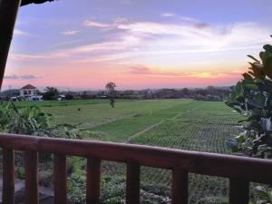 a view of a field from a porch at D'Tebe House Kelating in Tabanan