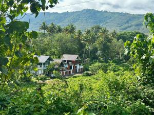 Ein Haus mitten im Wald mit Bergen im Hintergrund in der Unterkunft Cloud Lacasa in Athirappilly