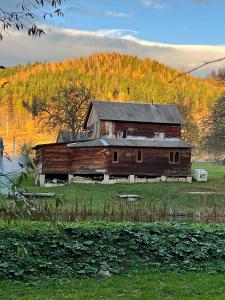 Naturlandskabet i nærheden af feriehuset