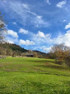 a large green field with a building in the distance at Те Село in Velyka Volosyanka