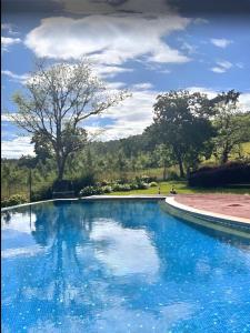 a swimming pool with blue water in a park at Coffeeberry Hills Chikamagalur in Chikmagalūr