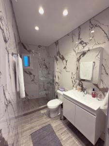 a bathroom with a white toilet and a sink at Delmare Lake view house in Kastoria