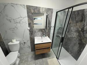 a bathroom with a toilet and a sink and a shower at Herman Pokoje - nr 7 in Hermanowice