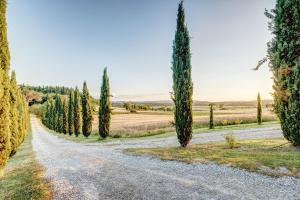 un camino de grava con cipreses y un campo en Agriturismo Il poggiarello, en Foiano della Chiana