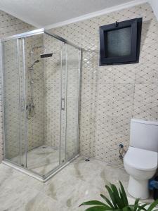 baño con aseo y TV en la pared en Sapancasadembungalov, en Sapanca