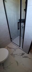 a bathroom with a shower and a toilet at Fennies Hütte in Medebach +56 photos