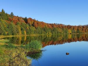 a lake with trees reflecting in the water at Appartement Dans un village en Auvergne sancy in Égliseneuve-dʼEntraigues