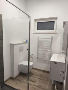 een badkamer met toilet en wastafel bij Modernes Apartment in ruhiger Lage inklusive Fitnessgeräte für Ihr Workout zu Hause in Drolshagen