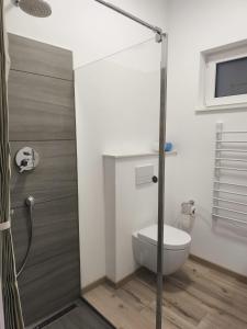 een badkamer met een toilet en een glazen douchedeur bij Modernes Apartment in ruhiger Lage inklusive Fitnessgeräte für Ihr Workout zu Hause in Drolshagen