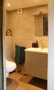 un baño con lavabo e inodoro en Logeerruimte Bij Ton, en Beilen