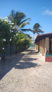 a pathway with palm trees next to a building at Vila São Miguel in Fortim